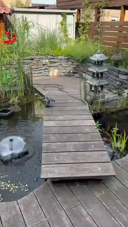 Gartenteich mit Holzsteg, Trittsteinen und Wasserpflanzen
