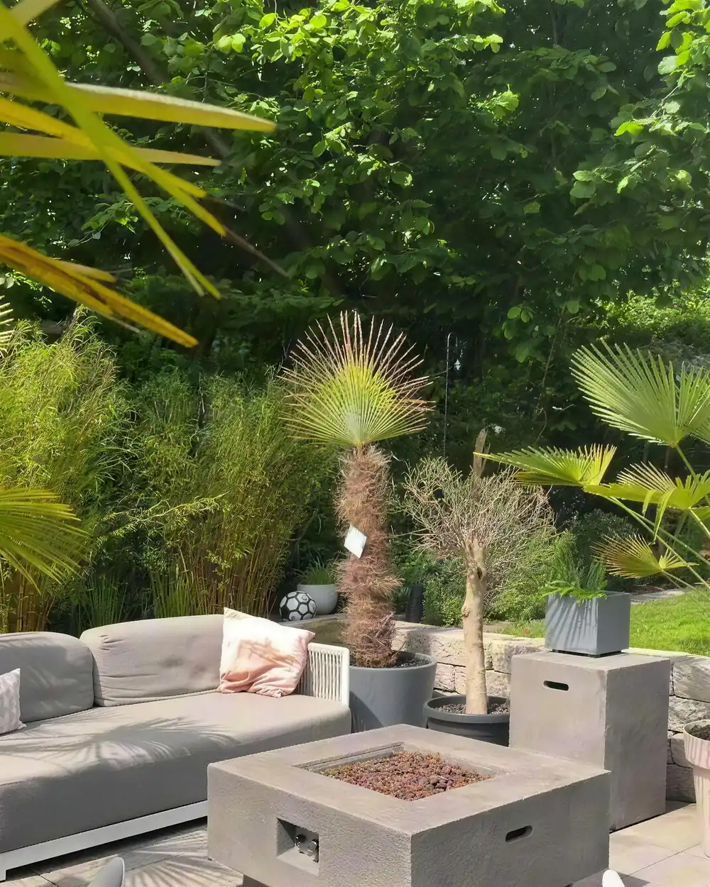 Lounge mit Feuertisch auf einer Terrasse, umgeben von Palmen und Kübelpflanzen