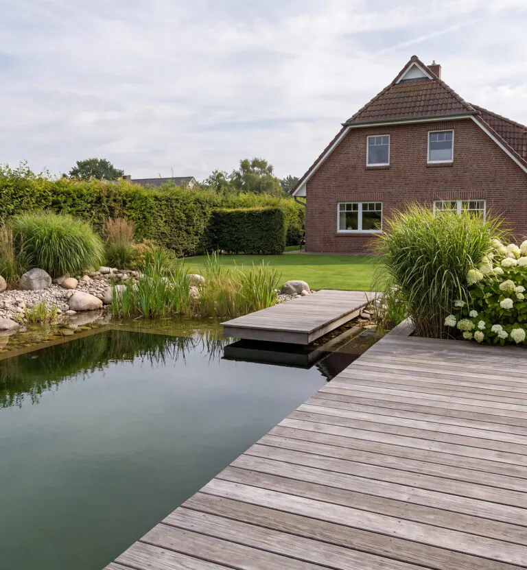 Schwimmteich mit grauem Holzdeck und kurzem Steg, dahinter Schilf, Ziergräser, weiße Hortensien und ein Klinkerhaus mit Satteldach